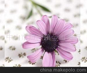專(zhuān)業(yè)供應(yīng)玻璃紙(重點(diǎn)推薦,歡迎來(lái)電咨詢(xún))