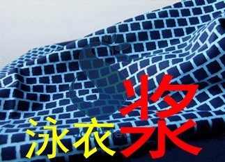 【廠價(jià)直銷】☆★天助TZ-♂★?游泳衣尼龍透明漿