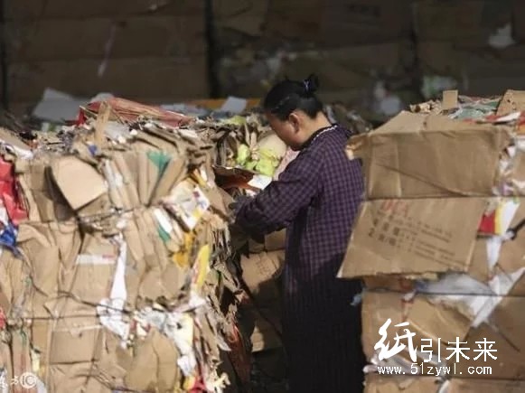 紙價暴漲,山東紙廠賠個精光!