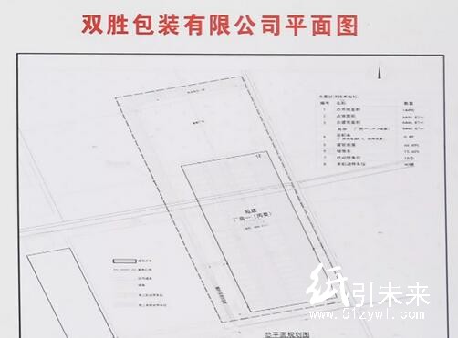 雙勝包裝平面圖
