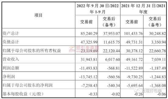 濱海能源的主要財(cái)務(wù)指標(biāo)